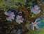 Treasures Underfoot 2