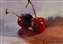 Cherries Study 1