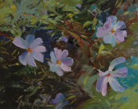 "Treasures Underfoot 2"